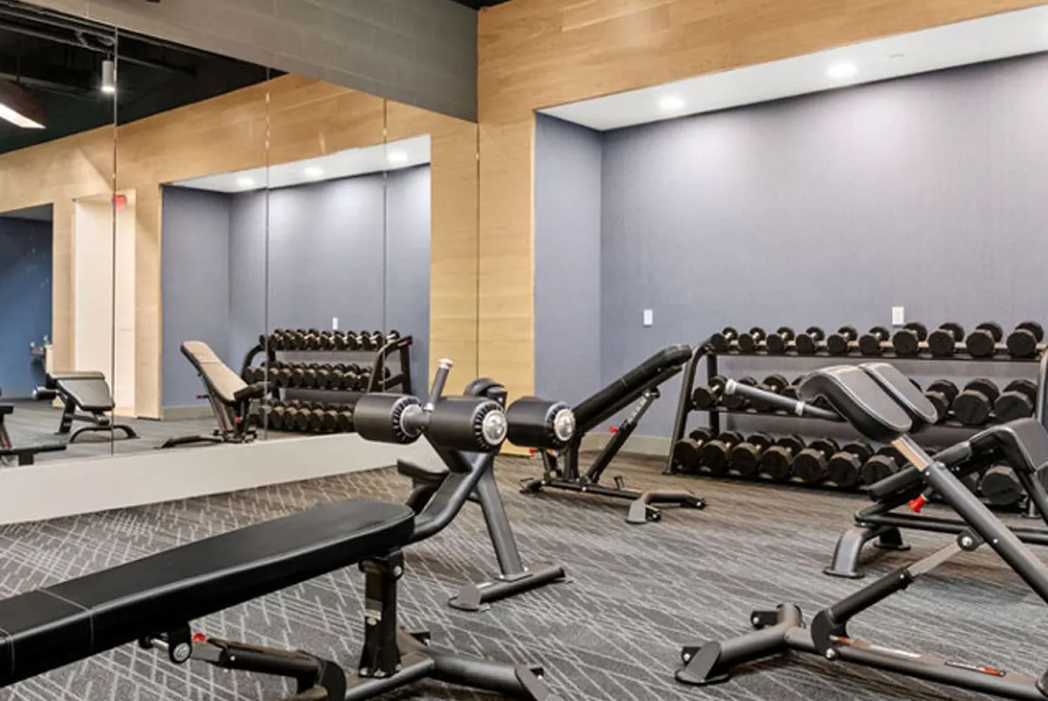state-of-the-art fitness center