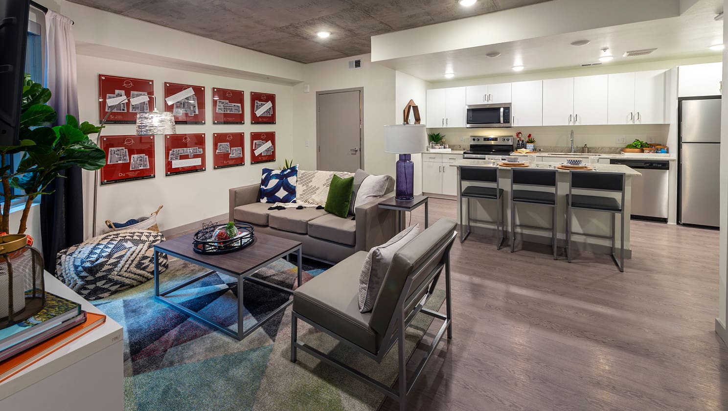 apartment living room and kitchen